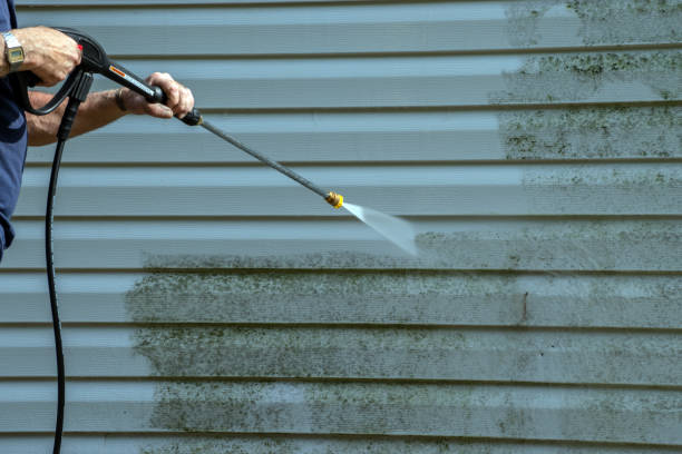 Best Concrete Pressure Washing  in Pearsall, TX