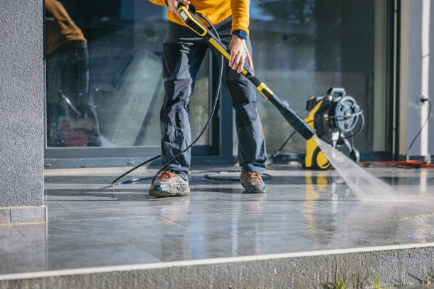 Best Roof Pressure Washing  in Pearsall, TX