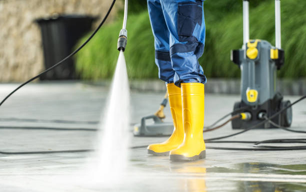 Best Roof Pressure Washing  in Pearsall, TX