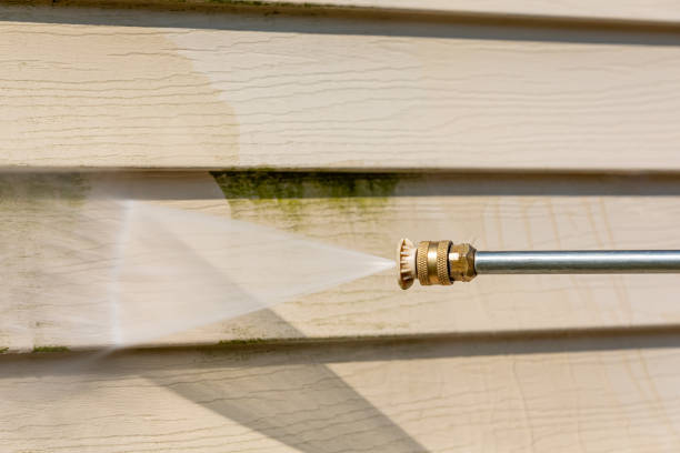 Best Pressure Washing Driveway  in Pearsall, TX