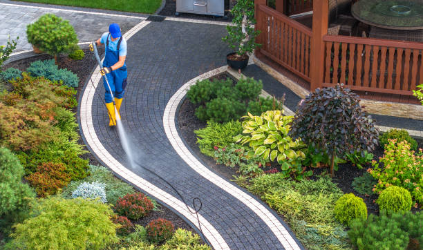 Best Affordable Power Washing  in Pearsall, TX
